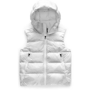 North face hyalite down vest